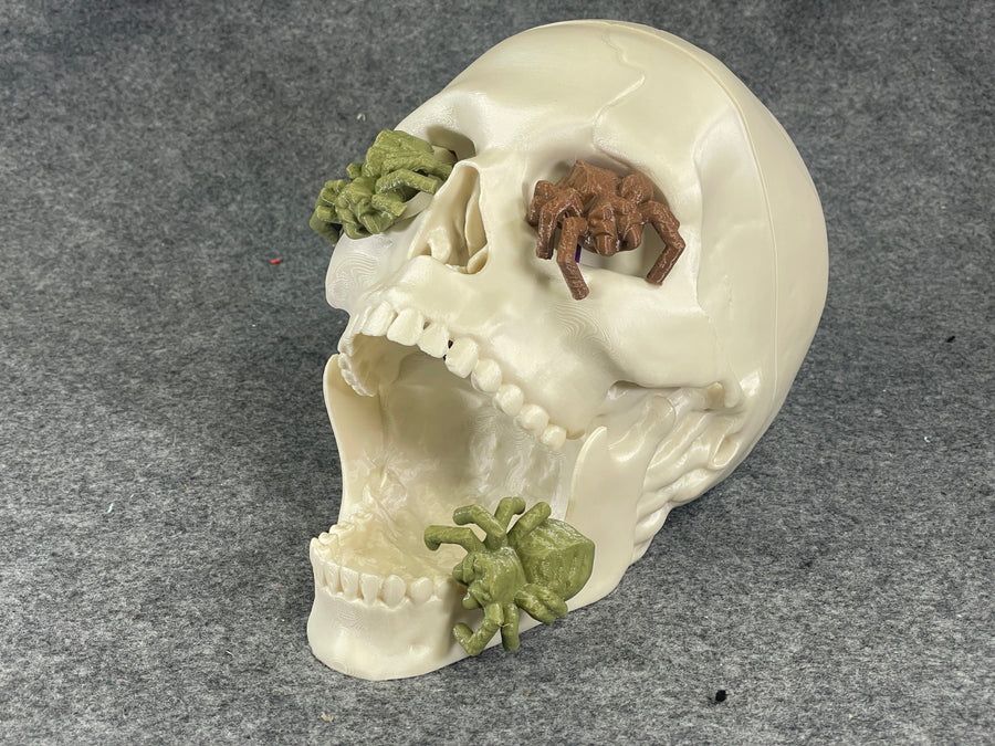 Scare Skull